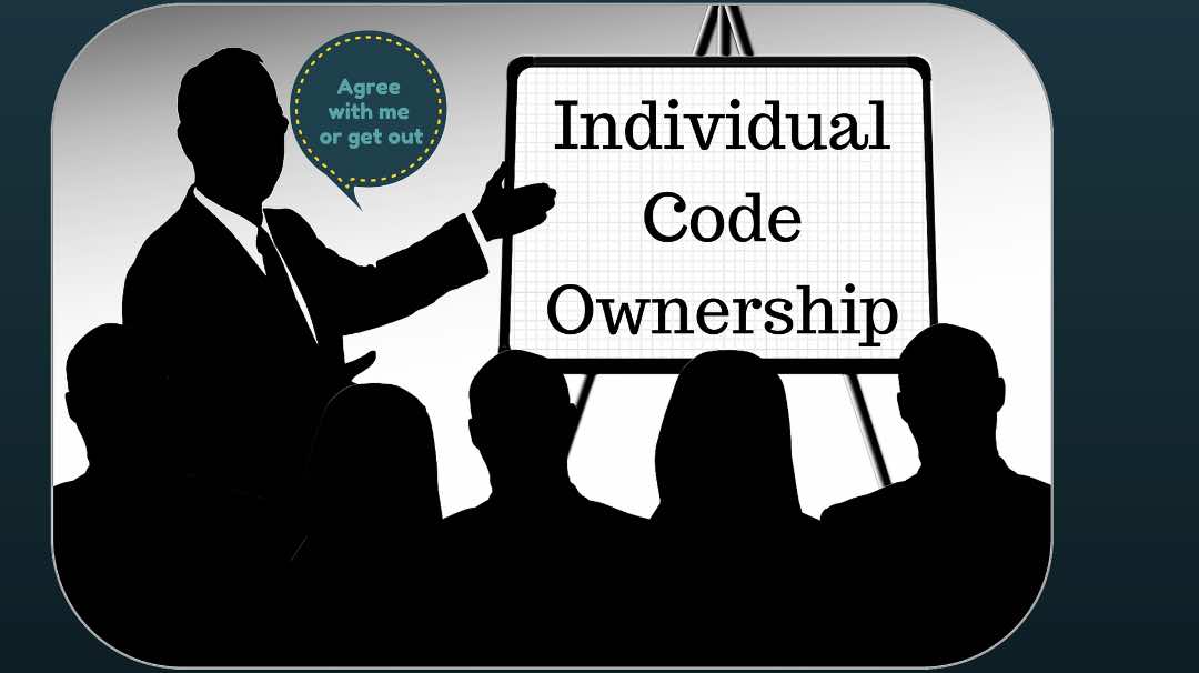 Individual Ownership Examples